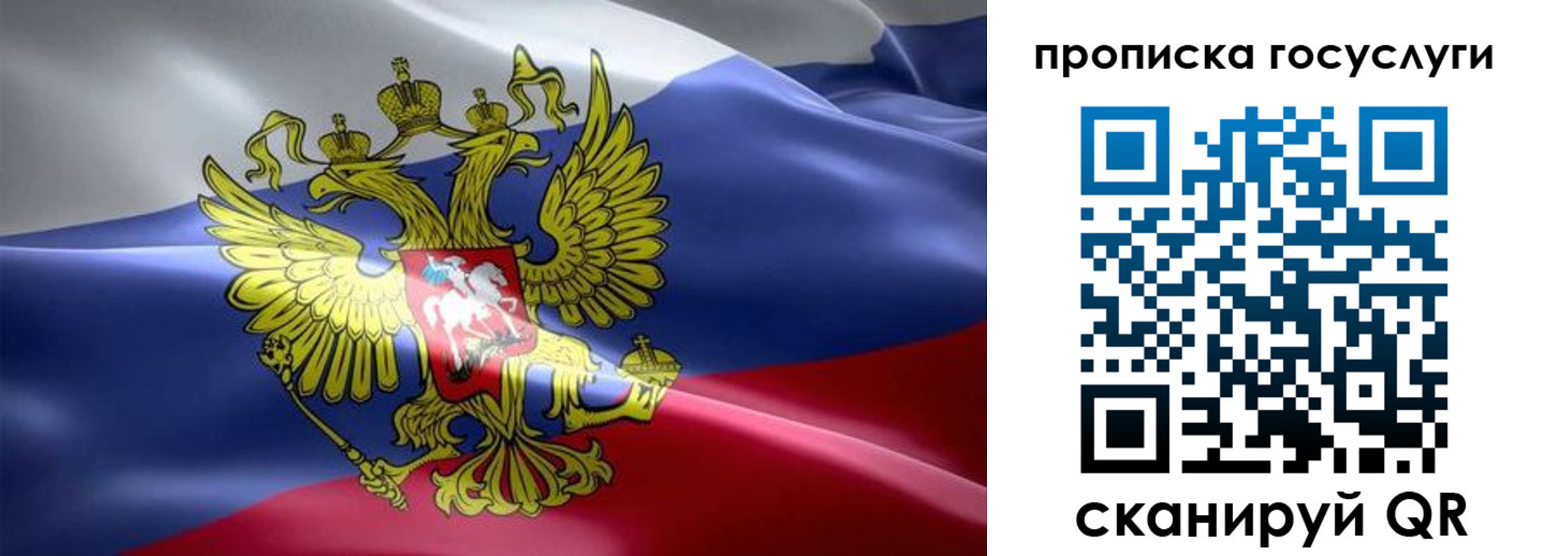 прописка законно в Брянской области